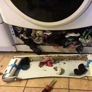 Obrázek 'here are the missing socks'
