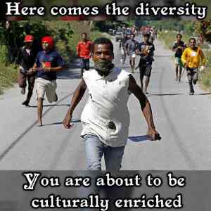 Obrázek 'here comes the diversity'