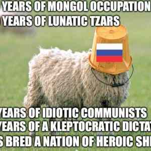 Obrázek 'heroic sheep'