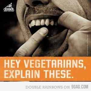 Obrázek 'hey vegetarians'