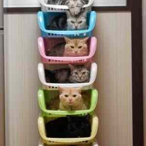 Obrázek 'hezky serazene'