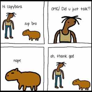 Obrázek 'hi capybara'