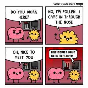 Obrázek 'hi pollen'