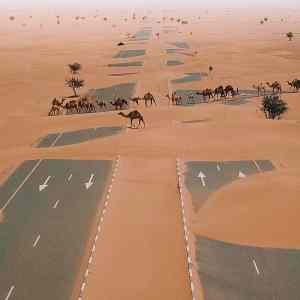 Obrázek 'highwayUAE'