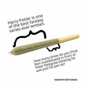 Obrázek 'hit the blunt potter version'