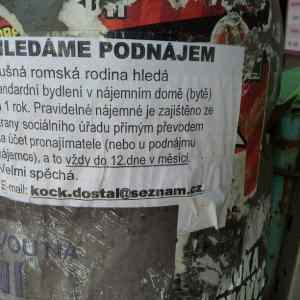 Obrázek 'hledame podnajem'