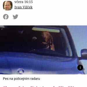 Obrázek 'hodnej pejsek odvezl panicka domu'