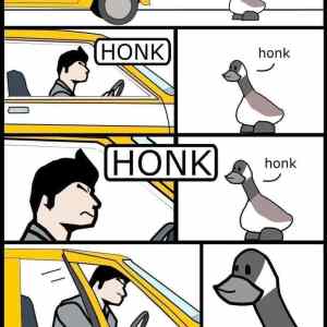 Obrázek 'honkfuck'