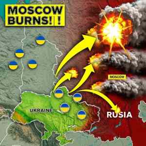 Obrázek 'hor krysi hnizdo hor'