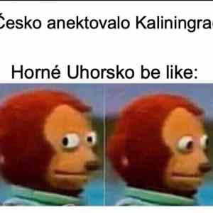 Obrázek 'horne uhorsko be like'