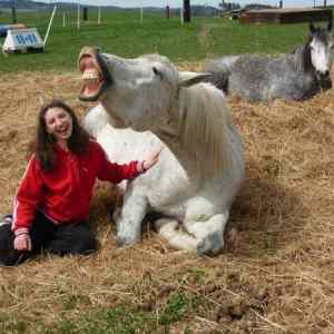 Obrázek 'horseface misto duckface'