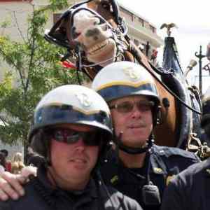 Obrázek 'horseselfie'