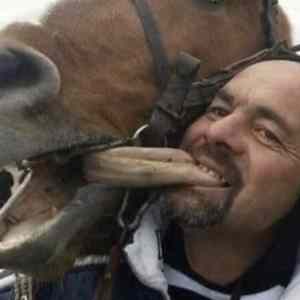 Obrázek 'horsie'