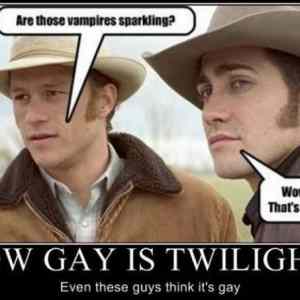 Obrázek 'how-gay-is-twilight'