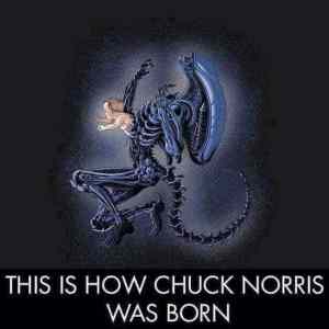 Obrázek 'how chuck was born'
