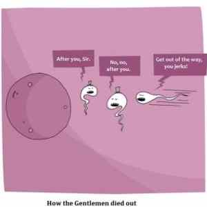 Obrázek 'how&nbsp;the&nbsp;gentlmen&nbsp;died&nbsp;out'