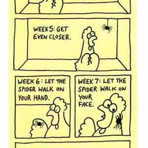 Obrázek 'how to cure your arachnophobia'