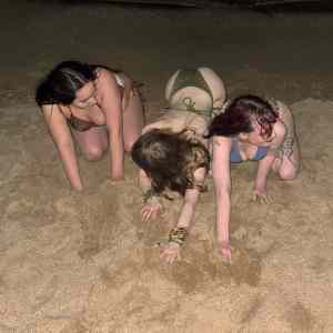 Obrázek 'hrabosky1'