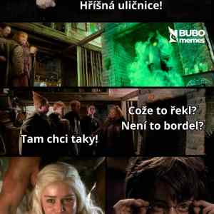 Obrázek 'hrisnaulicnice'