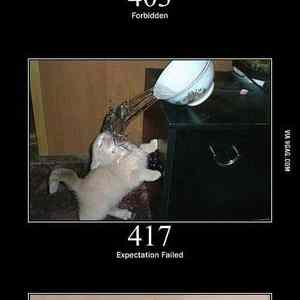 Obrázek 'http&nbsp;cats'