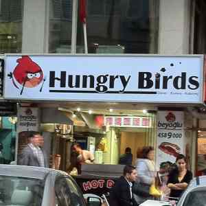Obrázek 'hungry birds'