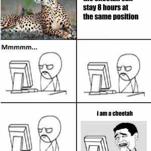Obrázek 'i-am-a-cheetah'