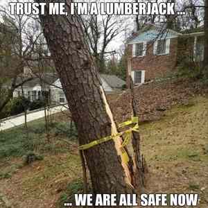 Obrázek 'i am Lumberjack '