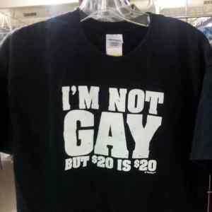 Obrázek 'i am not gay - but. . . '