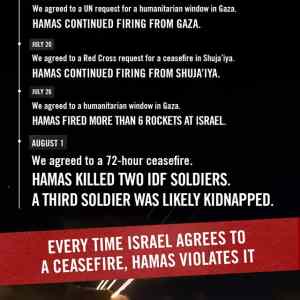 Obrázek 'i hate sand monkeys'