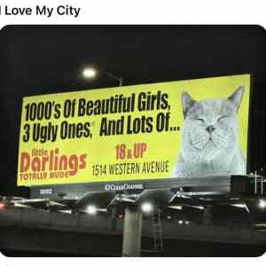 Obrázek 'i love my city'