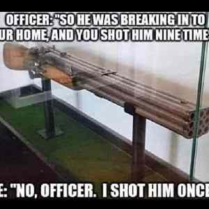 Obrázek 'i pulled the trigger and he was gone'