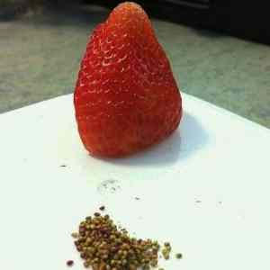 Obrázek 'i was bored and I had one strawberry'