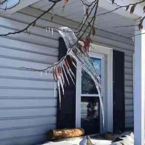 Obrázek 'ice bird'