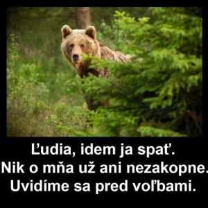 Obrázek 'idem spat'
