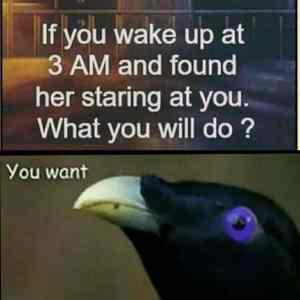 Obrázek 'if you wake. . . . '