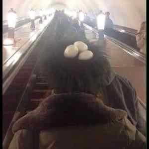 Obrázek 'igor hnizdo v metru'