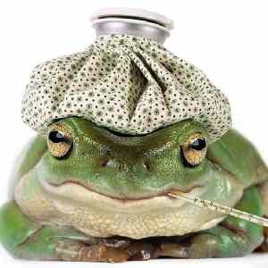 Obrázek 'ill frog'