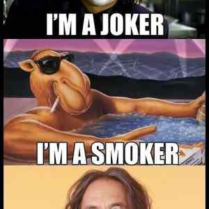 Obrázek 'im a joker im smoker'