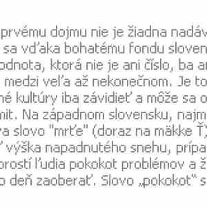 Obrázek 'image001'
