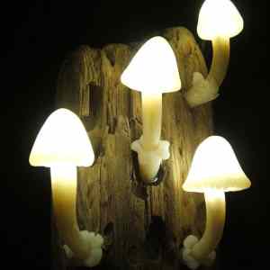 Obrázek 'image search 1673083877094'
