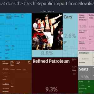 Obrázek 'import slovakians'