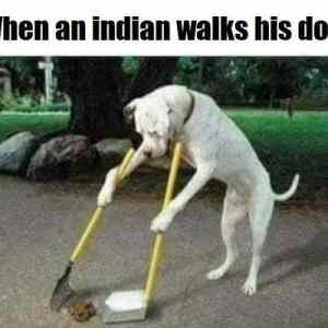Obrázek 'ind walk dog'