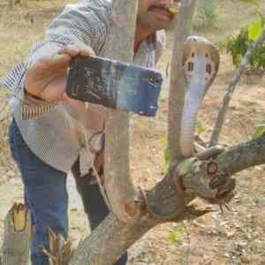 Obrázek 'indianselfie'