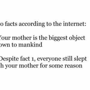 Obrázek 'internet     facts'