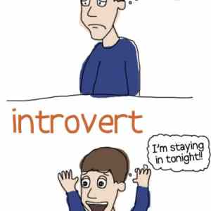 Obrázek 'introvert'