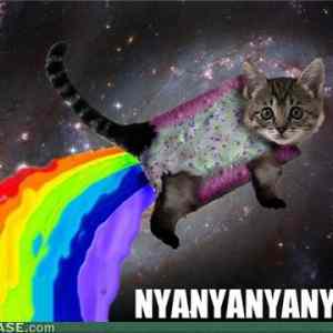 Obrázek 'irlnyanyanyan'