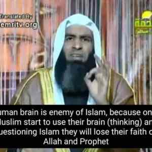 Obrázek 'islam je jako populizmus maji stejnyho nepritele'