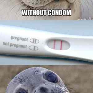 Obrázek 'it&nbsp;is&nbsp;a&nbsp;great&nbsp;feeling&nbsp;though'