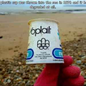 Obrázek 'its plastic its fantastic'