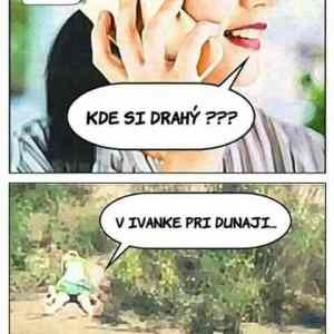 Obrázek 'ivanka pri dunaji'